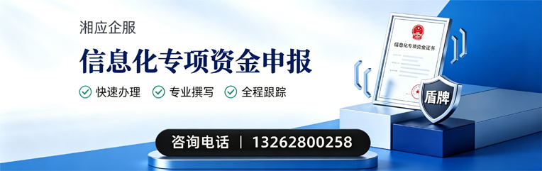 西安信息化专项资金申报服务