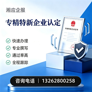 西安专精特新企业申报服务