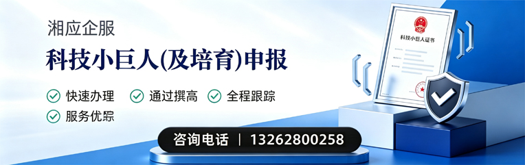 西安科技小巨人及培育企业申报服务