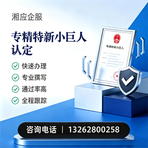 西安专精特新小巨人申报服务