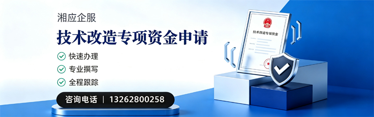 西安技术改造专项资金申报服务