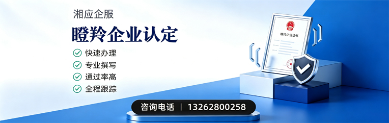 西安瞪羚企业认定申报服务