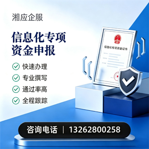 西安信息化专项资金申报服务