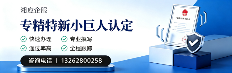 西安专精特新小巨人申报服务
